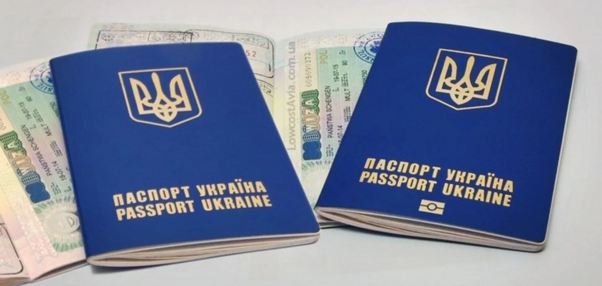 Робочі візи